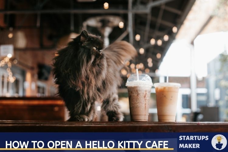 how to open a hello kitty cafe